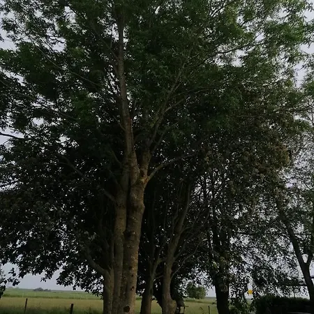 אתר קמפינג Mietwohnwagen Auf Dem Campingplatz Westerkoog Bei Busum