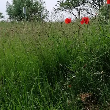 אתר קמפינג Mietwohnwagen Auf Dem Campingplatz Westerkoog Bei Busum *